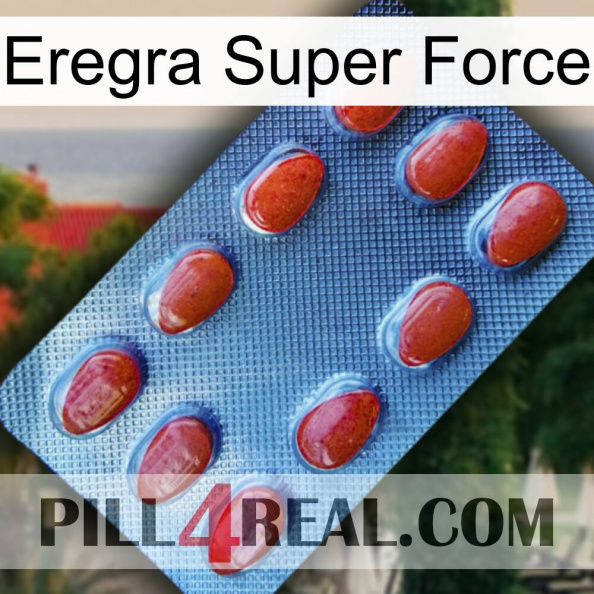 Eregra Super Force 06.jpg